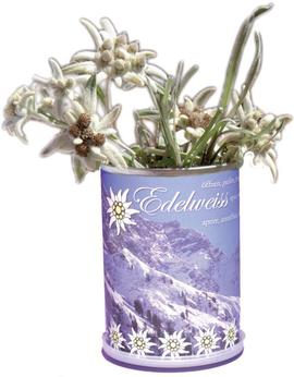 Edelweiss in Can