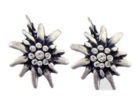 Earrings Edelweiss